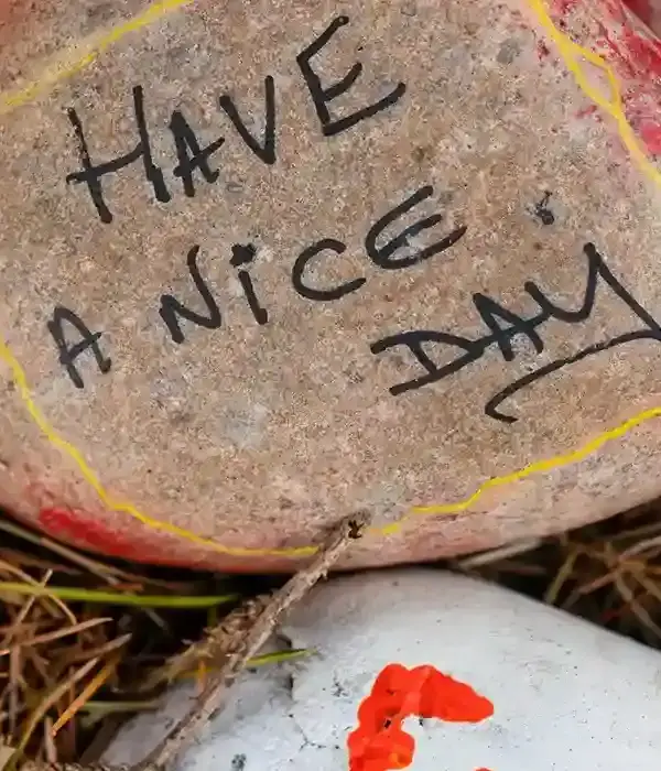 steps together st bankhouse