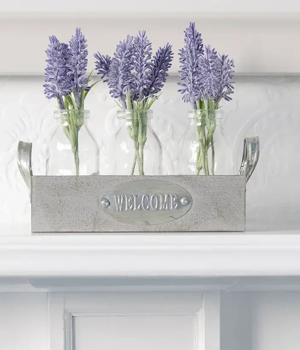 steps together st elizabethhouse