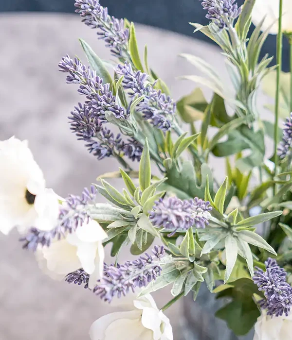 steps together st elizabethhouse