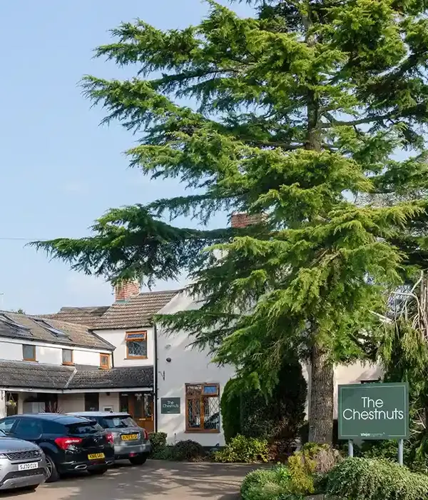 steps together white building st chestnuts