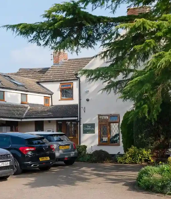 steps together white house tree st chestnuts