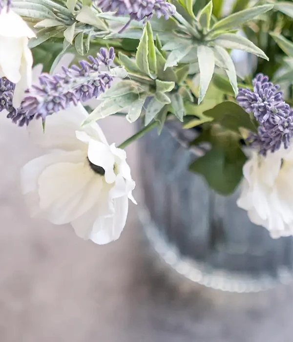 steps together white st elizabethhouse