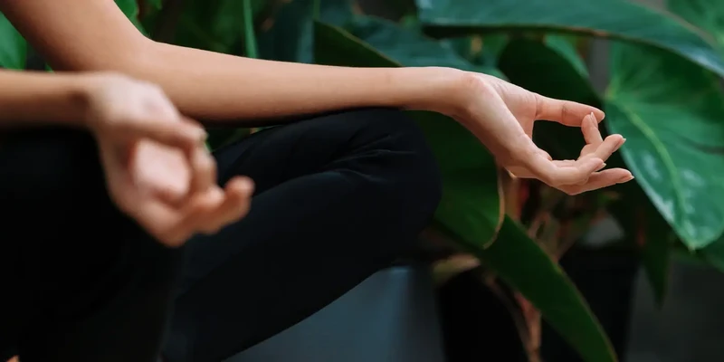 A Story of Recovery and Growth: From Client to Lead Therapist