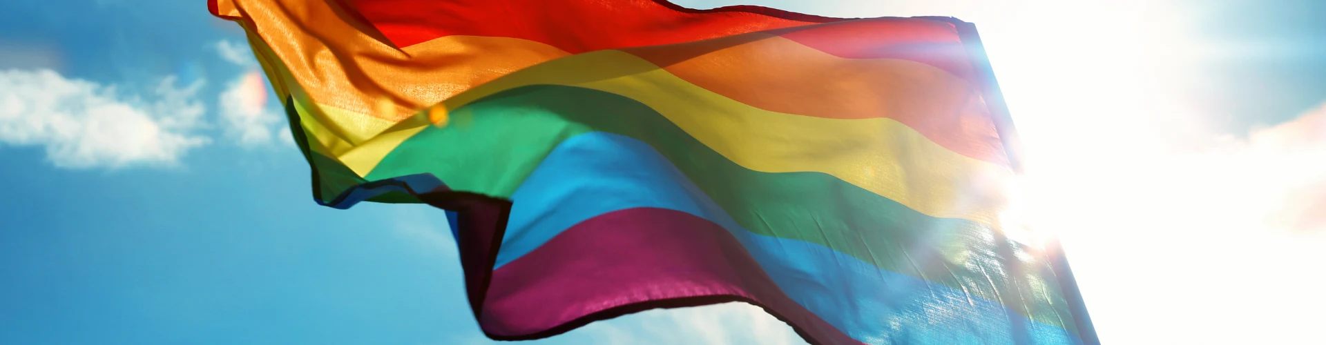 Celebrating Pride Month in ...